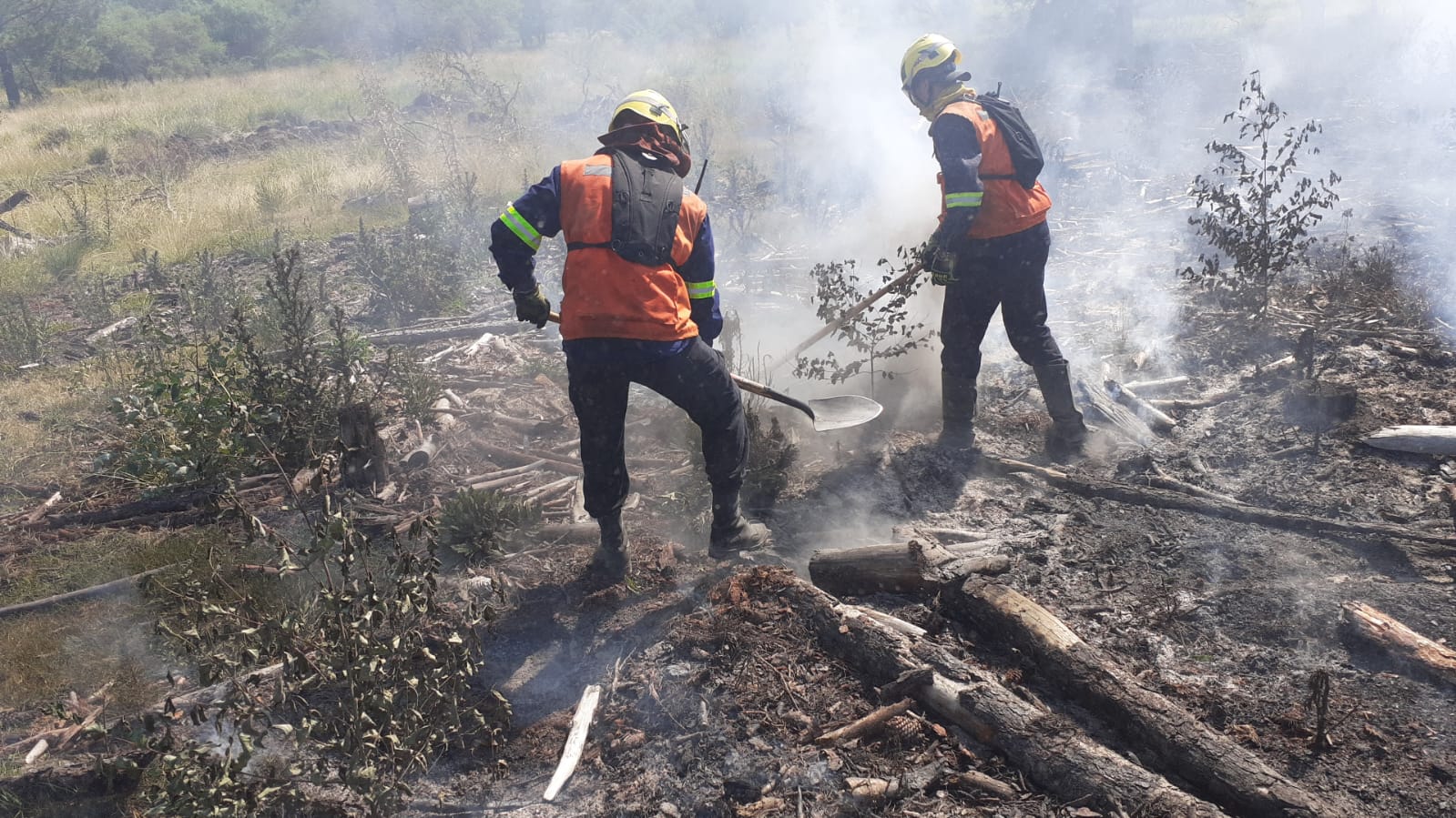 BRIGADISTAS FORESTALES URUGUAYOS SE CAPACITAN EN CHILE PARA EL COMBATE DE INCENDIOS