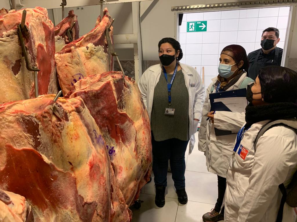 SEREMI DE SALUD INTENSIFICA FISCALIZACIONES A CARNES Y OTROS PRODUCTOS ALIMENTICIOS 1