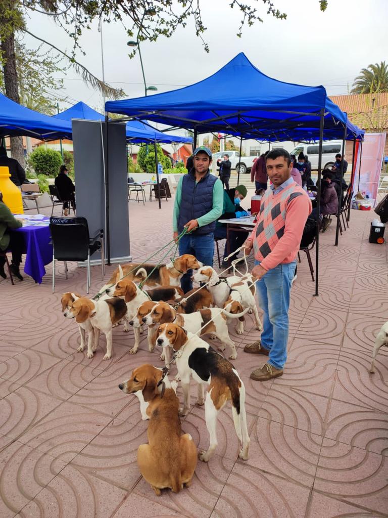 DÍA MUNDIAL CONTRA LA RABIA EN LA ESTRELLA Y CODEGUA SE REALIZARON OPERATIVOS PARA MASCOTAS 2
