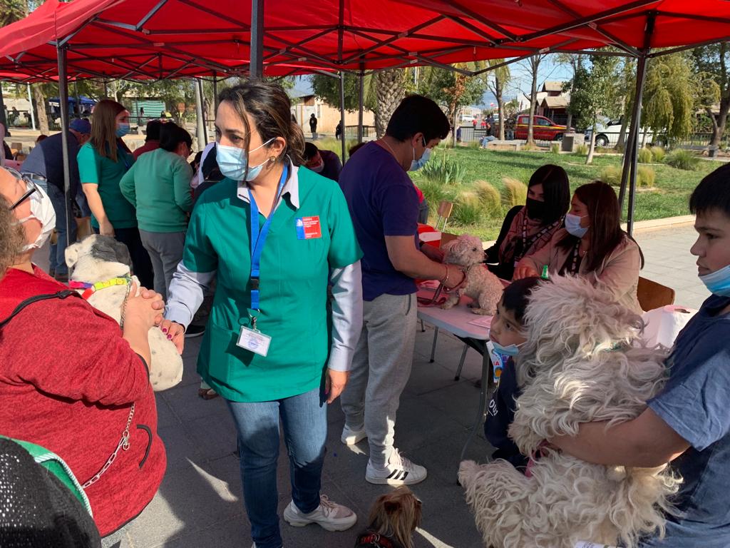 DÍA MUNDIAL CONTRA LA RABIA EN LA ESTRELLA Y CODEGUA SE REALIZARON OPERATIVOS PARA MASCOTAS 3
