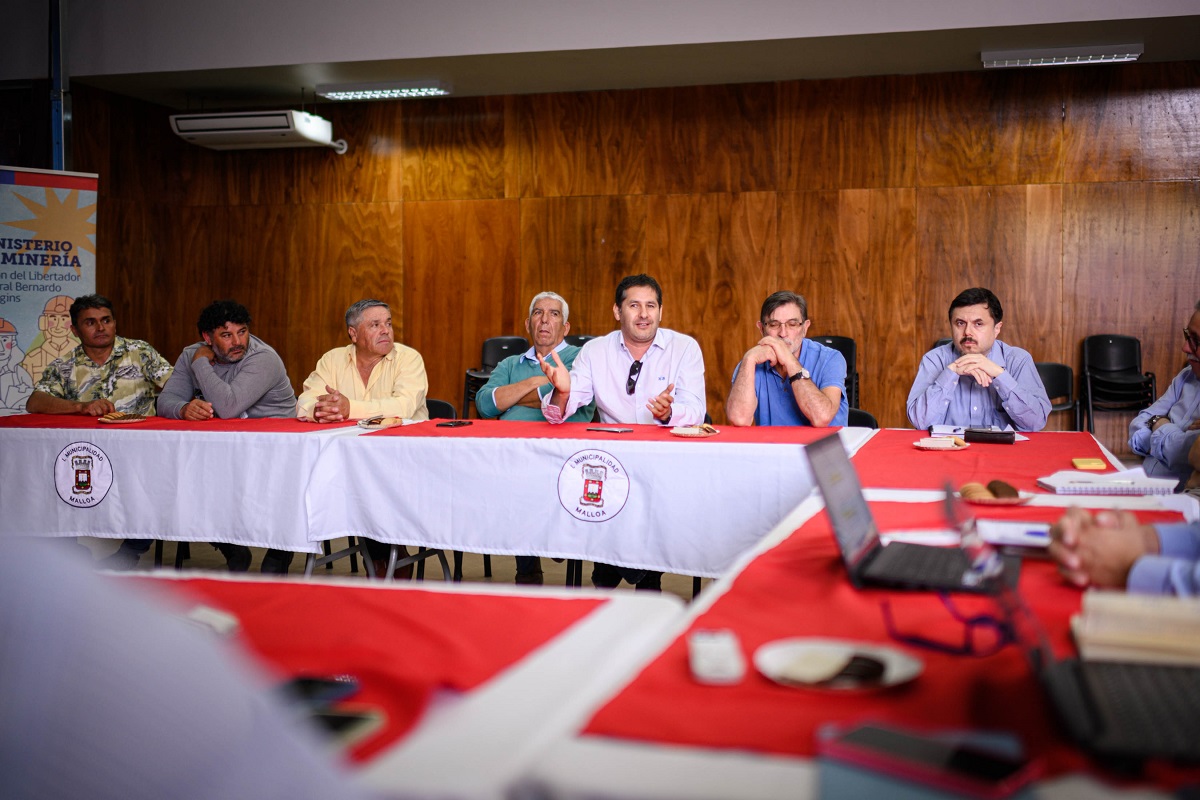 DESARROLLO TERRITORIAL MEDIO AMBIENTE FOMENTO Y LA ELABORACIÓN DE UN ESTATUTO MINERO SON LOS EJES CENTRALES DE MESA PEQUEÑA MINERÍA 2