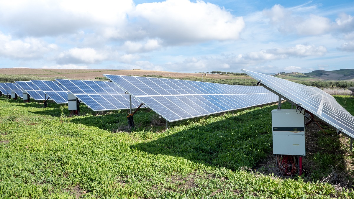 TECNOLOGÍA AGROVOLTAICA LA TENDENCIA QUE REVOLUCIONARÁ AL SECTOR AGRÍCOLA