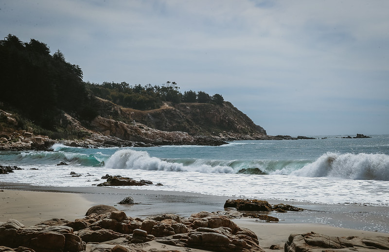 Bienes Nacionales activa su campaña playas conoce cuáles son los accesos habilitados en todo el país