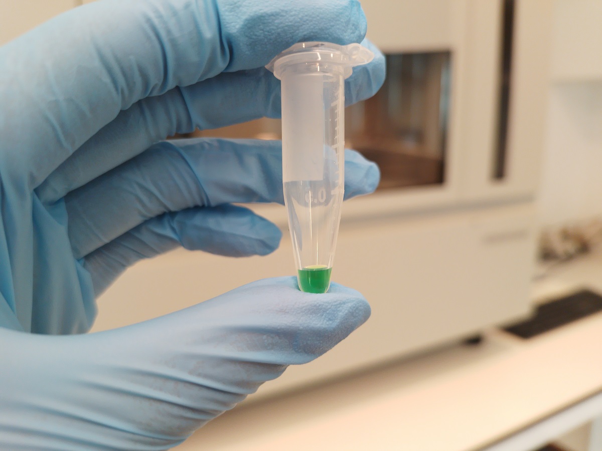 EMPRESA MULTINACIONAL EN CHILE APORTA AL AVANCE DE ESTUDIOS SOBRE EL CÁNCER 2