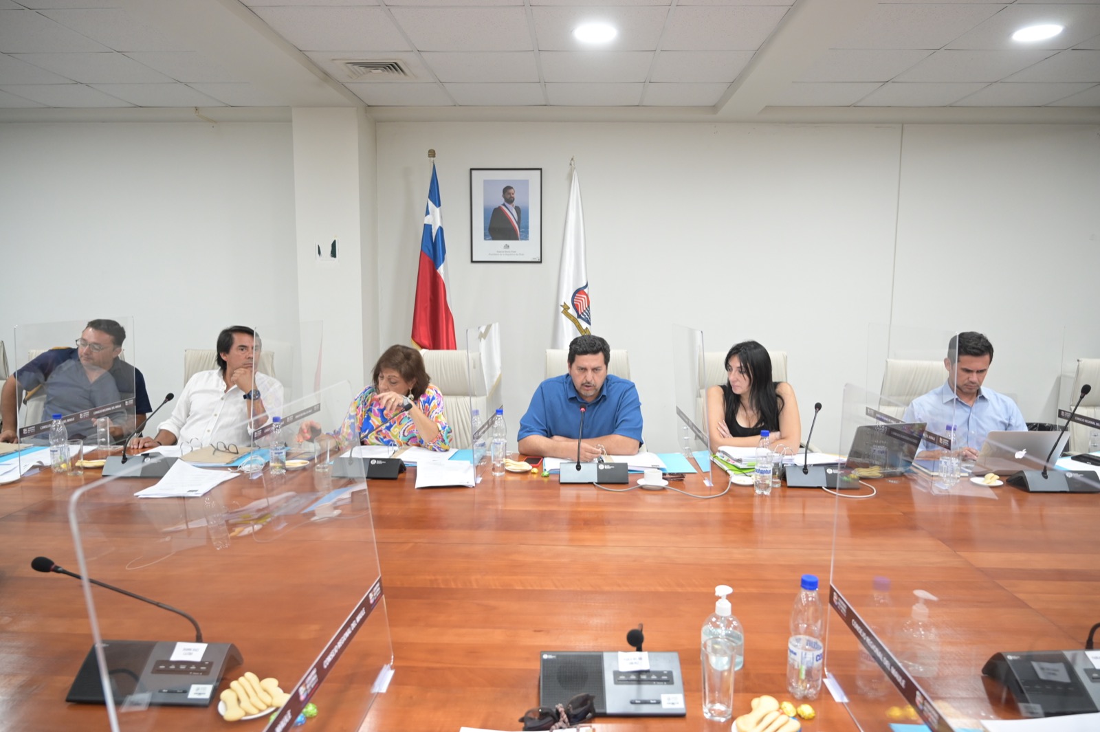 CORE APROBÓ MÁS DE 4 MIL MILLONES PARA PROGRAMA DE EMPLEO ENFOCADO EN PREVENCIÓN DE INCENDIOS FORESTALES 2