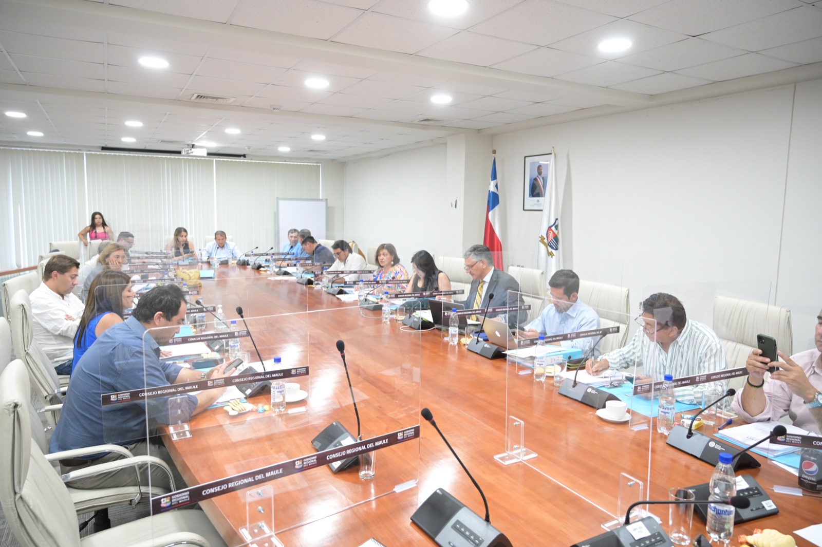 CORE APROBÓ PROYECTO DE REACTIVACIÓN ECONÓMICA DE EMERGENCIA PARA MIPYMES MAULINAS