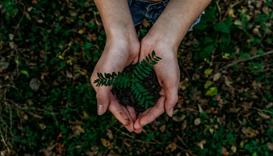 ENFOQUE AMBIENTAL SOCIAL Y CULTURAL PILARES CLAVE PARA LA INNOVACIÓN EMPRESARIAL SOSTENIBLE 1