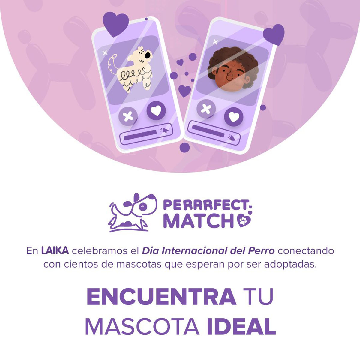 LAIKA REVOLUCIONA LA ADOPCIÓN DE MASCOTAS EN LATINOAMÉRICA CON EL LANZAMIENTO DE PERRFECT MATCH