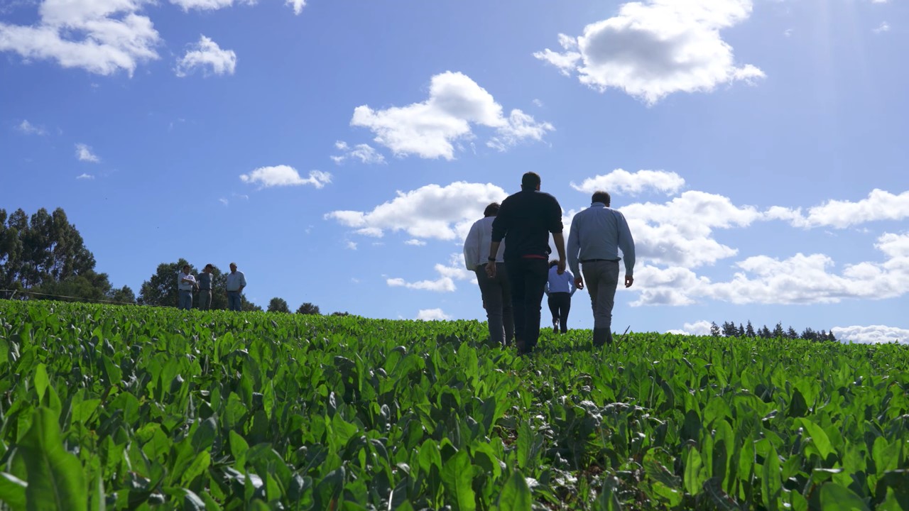 LAS INNOVACIONES QUE ESTÁN TRANSFORMANDO LA AGRICULTURA