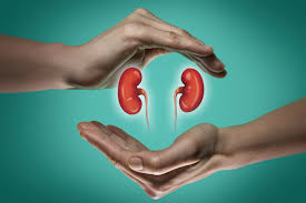 8 REGLAS DE ORO PARA CUIDAR LOS RIÑONES Y PREVENIR LA ENFERMEDAD RENAL 1