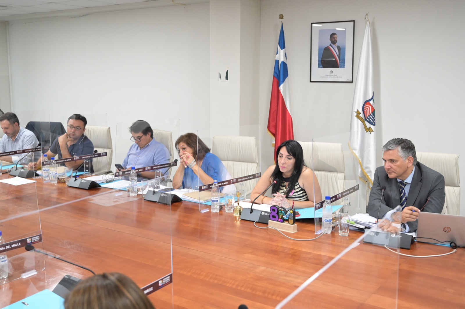 CORE APROBÓ MÁS DE 2.300 MILLONES PARA PAVIMENTAR CAMINOS DE COLBÚN