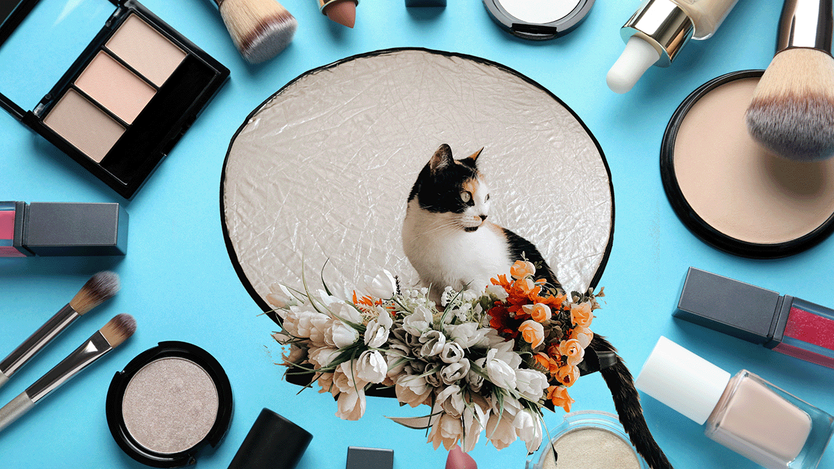Una década de campaña de Humane Society International ha dado al sector de belleza un cambio de imagen a libre de crueldad