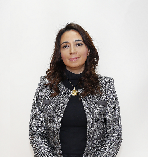 MUJERES EN LA INDUSTRIA FARMACÉUTICA CHILENA HACER CARRERA HA SIDO DIFÍCIL PARA NOSOTRAS Marcela Sabaini 1