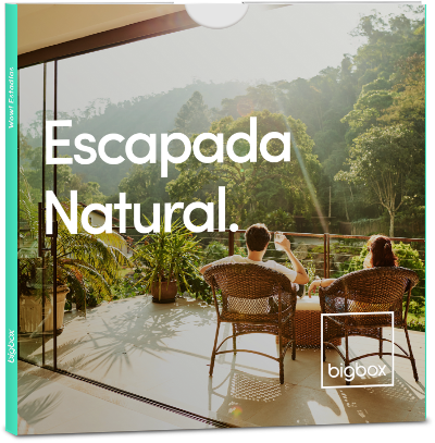 BIGBOX CELEBRA EL DÍA DE LA FELICIDAD CON ESPECTACULAR SORTEO 3