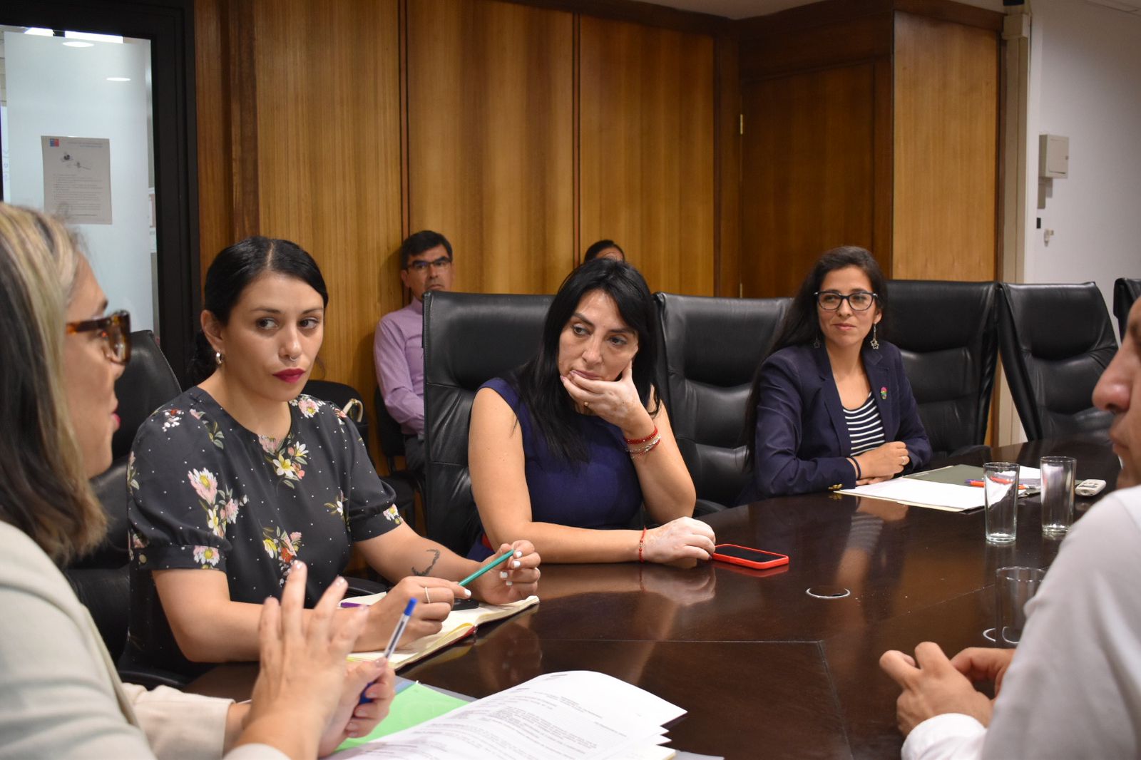 GOBERNADORA REGIONAL SOLICITA ACELERACIÓN DE PROCESOS ADMINISTRATIVOS PARA AVANZAR EN RECONSTRUCCIÓN DE TEATRO DE CAUQUENES