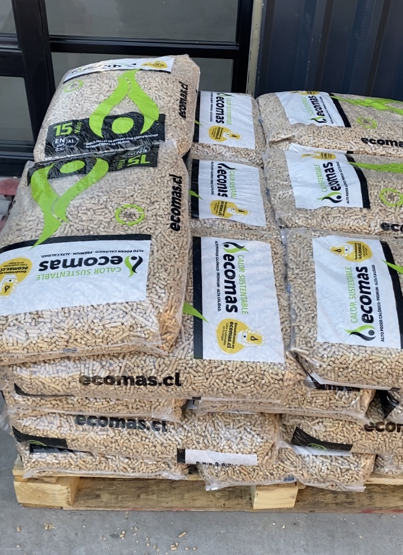 SEREMI DE ENERGÍA VISITA CENTRO DE DISTRIBUCIÓN DE PELLET EN RANCAGUA 2