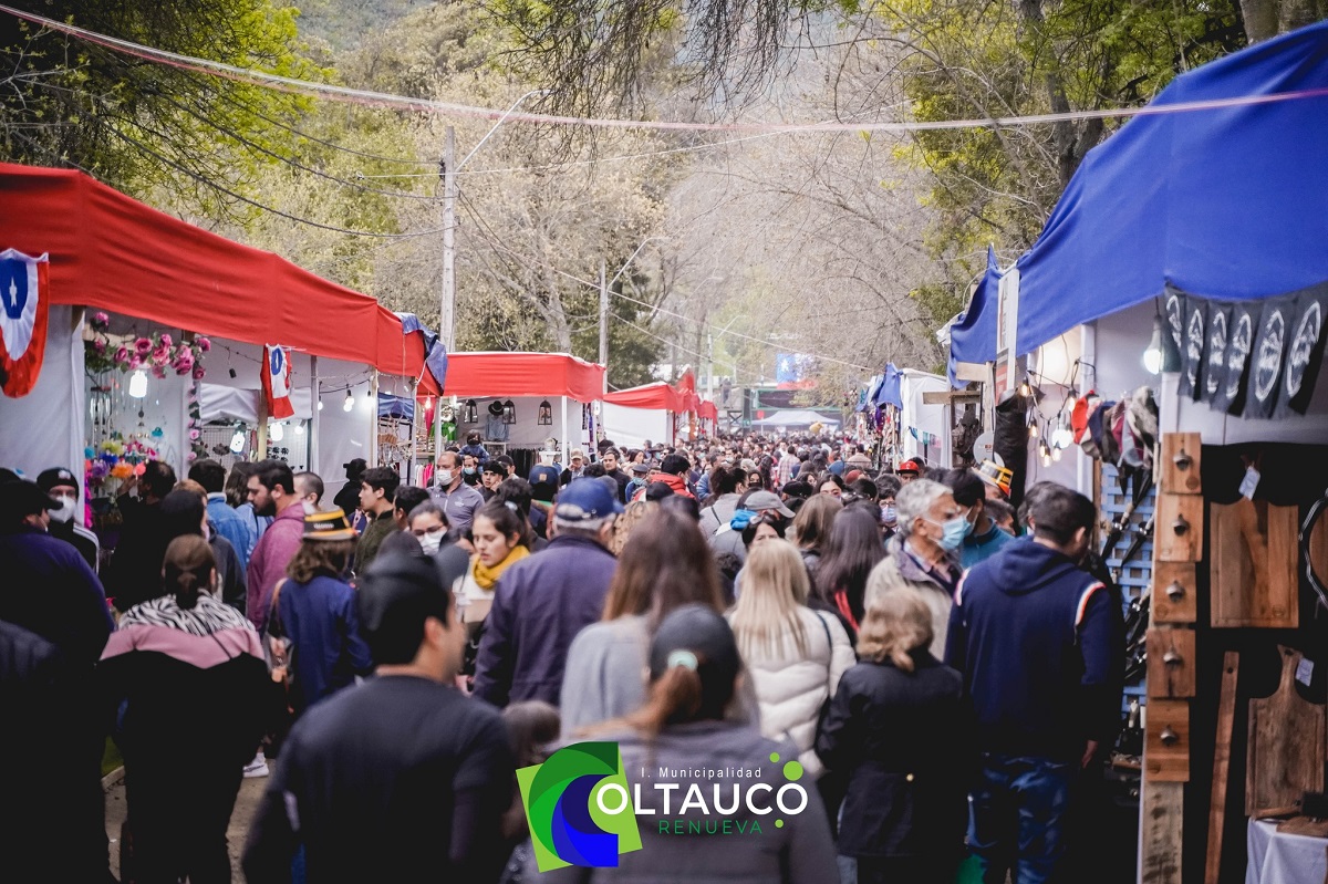 LOS JAIVAS Y LA COMBO TORTUGA SERÁN PARTE DE LA FIESTA DE LA VENDIMIA QUE SE REALIZARÁ EN COLTAUCO 5