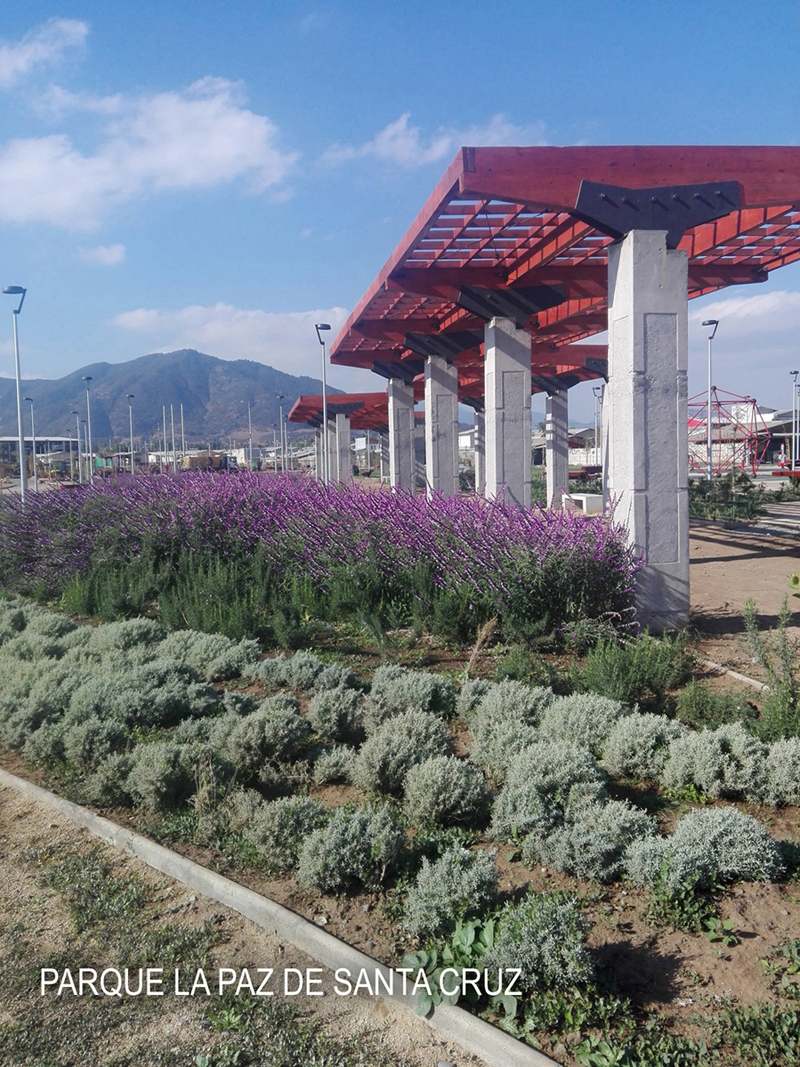 LA ESTRELLA Y RENGO SE SUMAN A PROGRAMA DE CONSERVACIÓN DE PARQUES URBANOS DEL MINVU Parque La Paz de Santa Cruz 2
