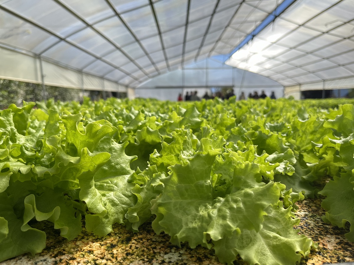 ESTUDIANTES DEL LICEO OSCAR CASTRO SE SUMERGEN EN LA AGRICULTURA DEL FUTURO EN FARMHABILITY 4