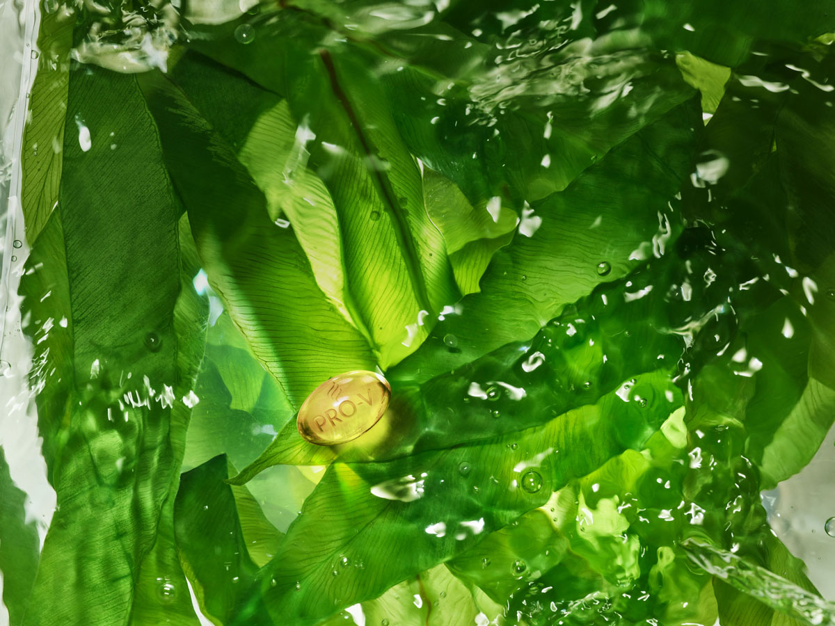 EL PODEROSO FRUTO AFRICANO QUE ESTÁ REVOLUCIONANDO LA INDUSTRIA COSMÉTICA TIENE SEIS VECES MÁS VITAMINA C QUE LA NARANJA Y EL DOBLE DE CALCIO QUE LA LECHE