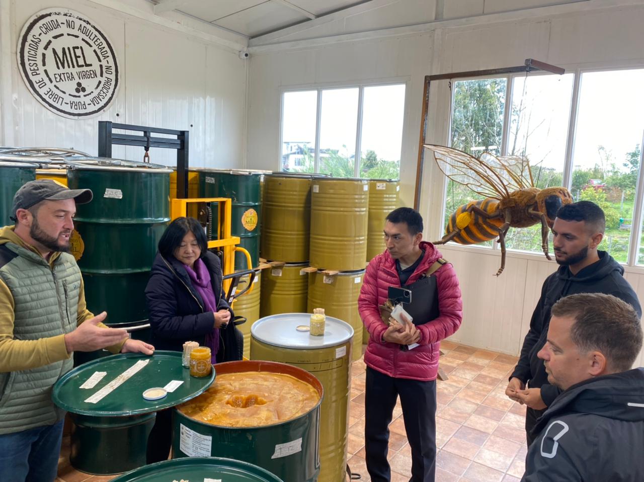 IMPORTADORES DESTACAN CALIDAD Y EXCELENCIA DE PRODUCCIÓN DE MIEL EN LA REGIÓN DE OHIGGINS 1