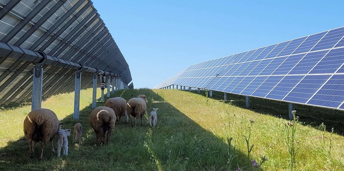 EL INVERSIONISTA FINLANDÉS KORKIA REFUERZA SU POSICIÓN EN CHILE SE ASOCIA CON CIUDAD LUZ PARA EL DESARROLLO DE NUEVOS PROYECTOS DE ENERGÍA EN EL PAÍS