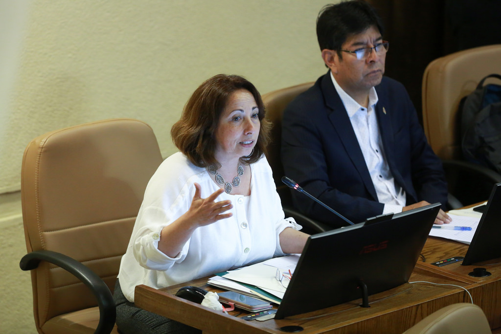 SENADORES SEPÚLVEDA IND Y VELÁSQUEZ FRVS PRESENTARON PROYECTO PARA INDEMNIZAR A HEREDEROS EN CASO DE FALLECIMIENTO DE TRABAJADOR