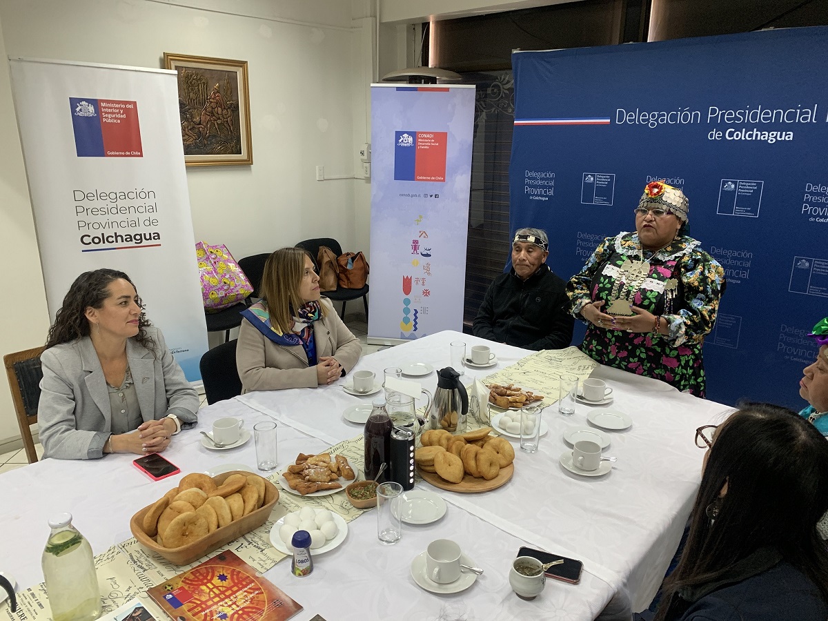 EN EL MUSEO REGIONAL DE RANCAGUA SE REALIZARÁ CONSULTA PREVIA INDÍGENA Y AFRODESCENDIENTEvvvvvvvvv 2