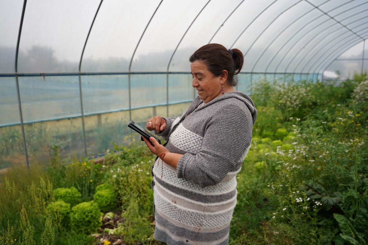 MI PAGO INDAP PLATAFORMA DIGITAL FACILITARÁ LOS PAGOS DE MÁS DE 62 MIL AGRICULTORES DE TODO EL PAÍS 3