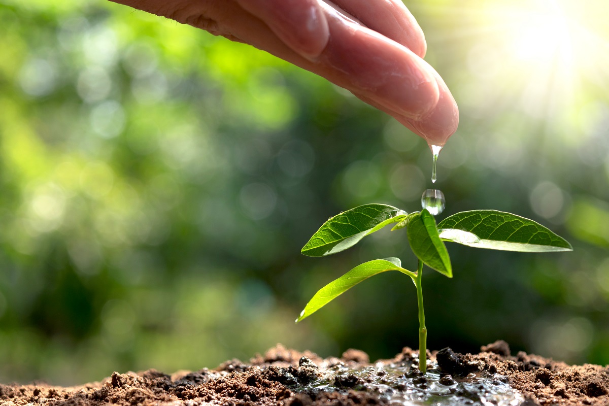PRÁCTICAS EMPRESARIALES SOSTENIBLES PARA UN FUTURO CARBONO NEUTRAL GettyImages 947660022