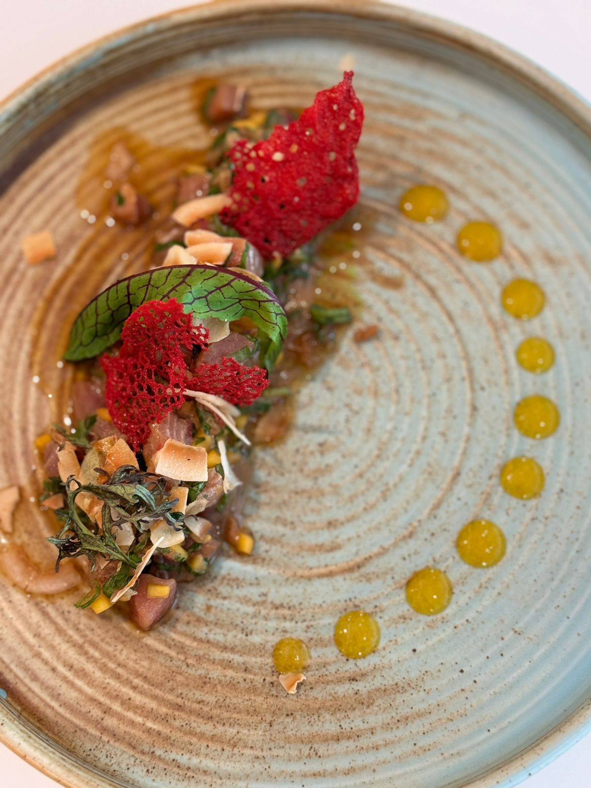 COLLECTION PLAZA SANTIAGO PRESENTA A SU NUEVO CHEF EJECUTIVO ALEJANDRO PAZ CON NUEVA PROPUESTA GASTRONÓMICA Tartar de Atun con Mango