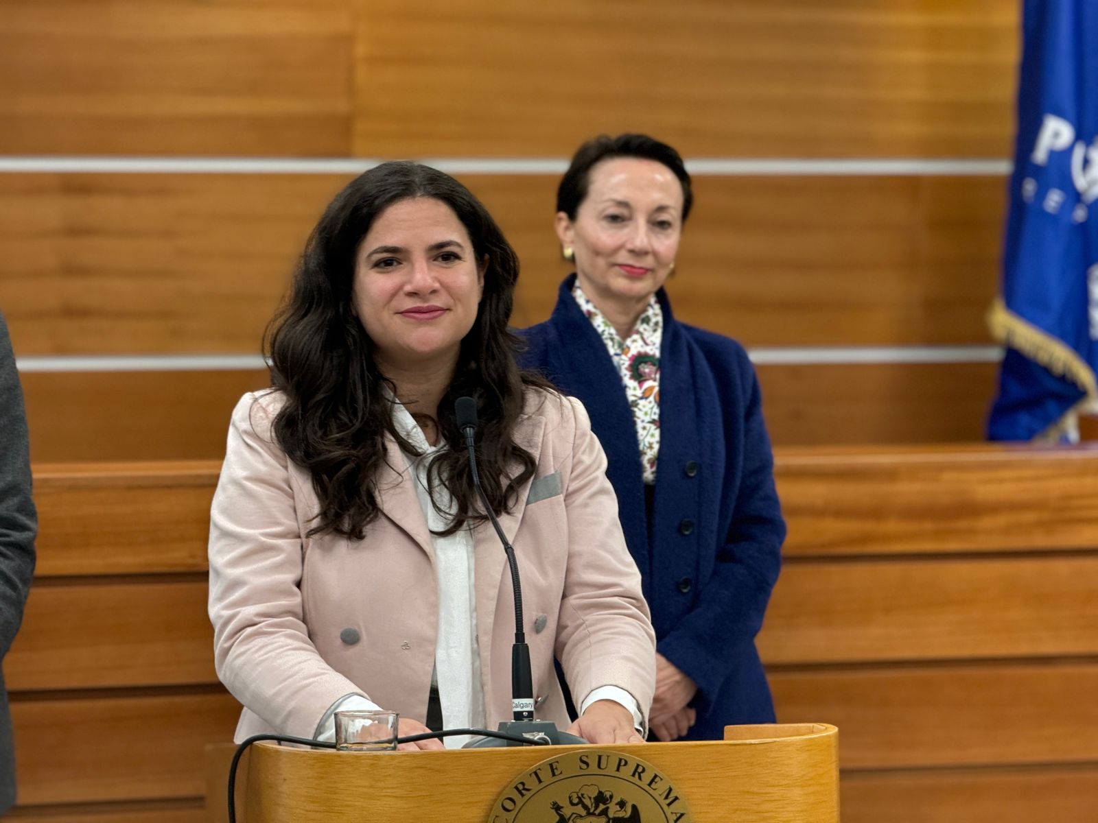 LEY DE RESPONSABILIDAD PARENTAL Y PAGO EFECTIVO DE PENSIONES DE ALIMENTOS 2