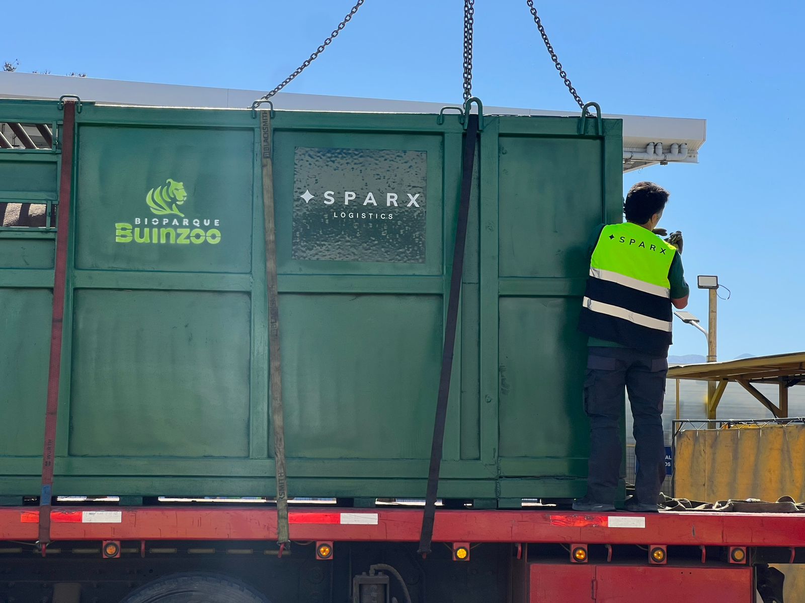 LA LOGÍSTICA DETRÁS DEL INÉDITO TRASLADO DE UN RINOCERONTE BLANCO A BRASIL 1
