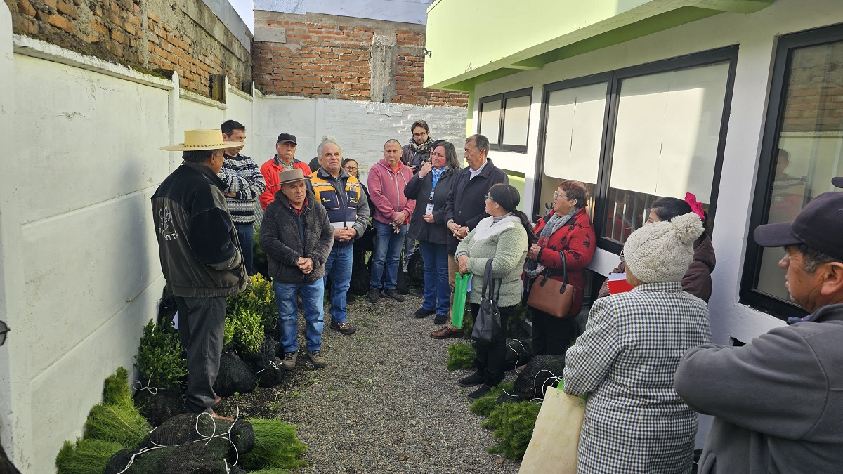 CORMA MAULE IMPULSA LA REFORESTACIÓN CON ENTREGA DE MÁS DE 150 MIL PLANTAS EN LA REGIÓN Plantaciones 2