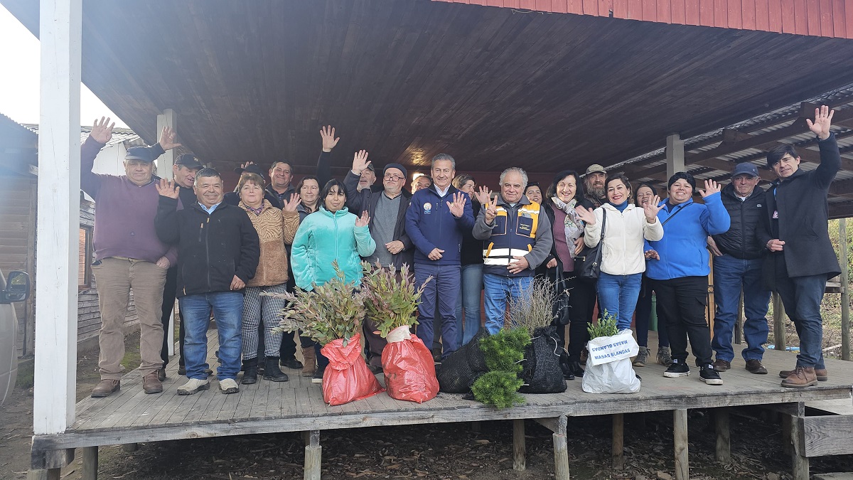 CORMA MAULE IMPULSA LA REFORESTACIÓN CON ENTREGA DE MÁS DE 150 MIL PLANTAS EN LA REGIÓN Plantaciones 3