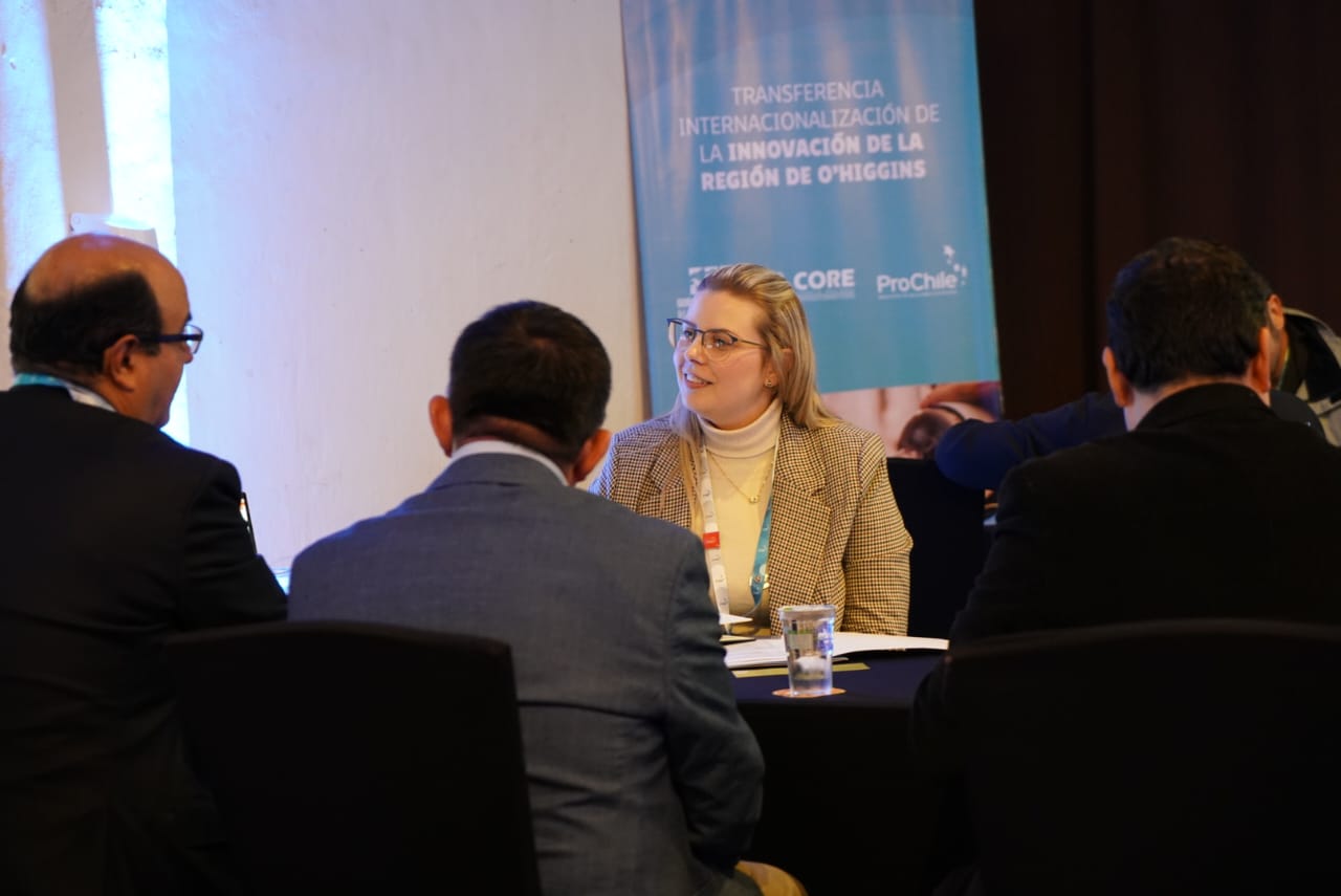 CON IMPORTADORES DE 12 MERCADOS SE DIO INICIO AL SEGUNDO ENCUENTRO EXPORTADOR DE OHIGGINS 3