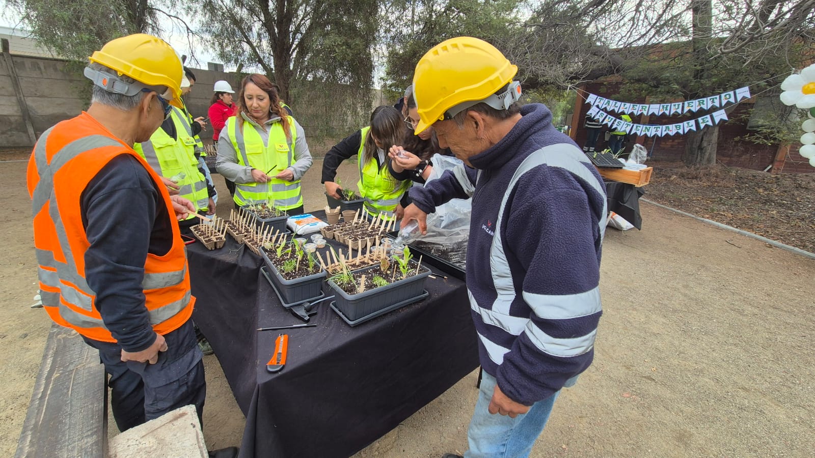 EDUCACIÓN AMBIENTAL EN EMPRESAS TRABAJADORES DE VOLCÁN ASISTEN A TALLERES DE HUERTOS URBANOS