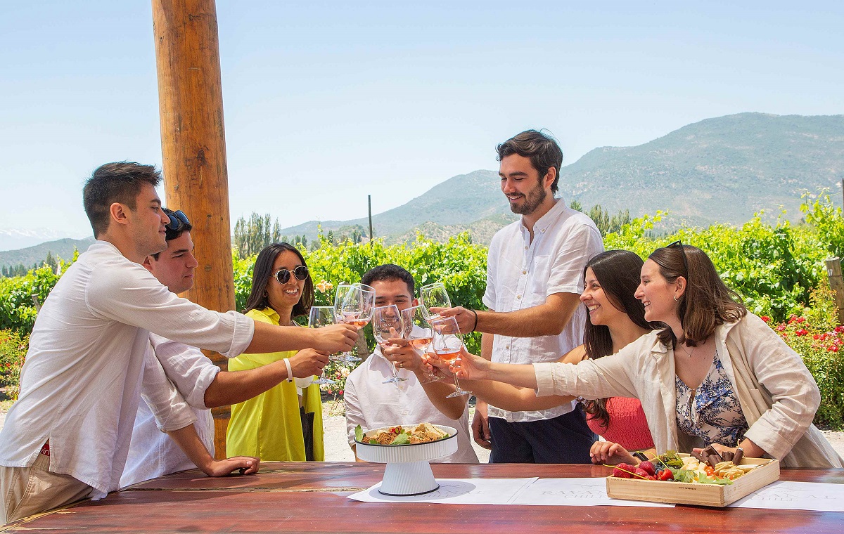 CRÓNICA DE UN VINO QUE NACIÓ DE MIS MANOS 1