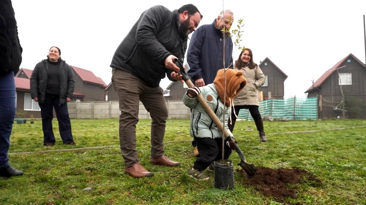 Corma celebra el Día de la Plantación con donación de 200 árboles a vecinos de Pillanlebún Plantación Araucanía 3