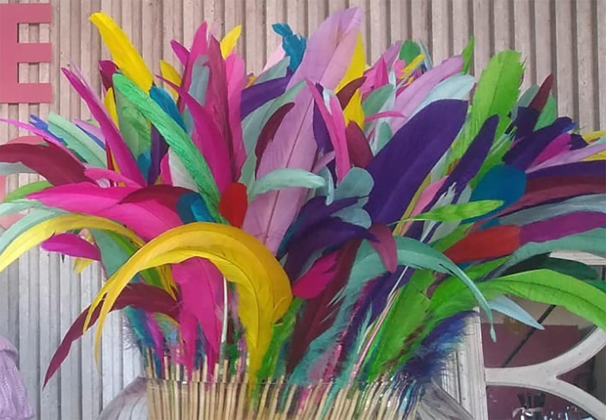PLUMAS oficial