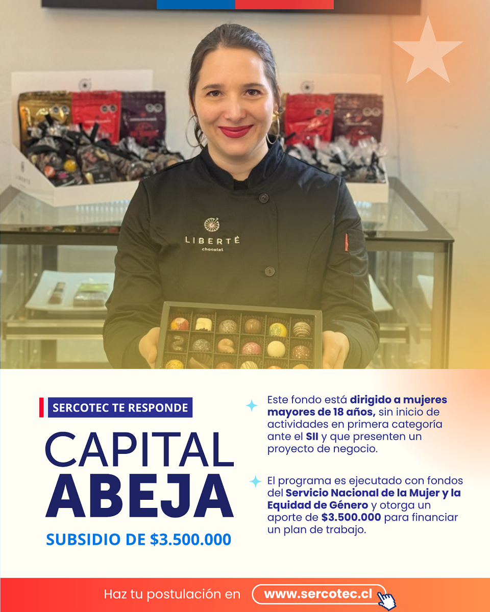 SERCOTEC ABRE NUEVA CONVOCATORIA DE CAPITAL ABEJA PARA IMPULSAR LA AUTONOMÍA ECONÓMICA DE LAS MUJERES