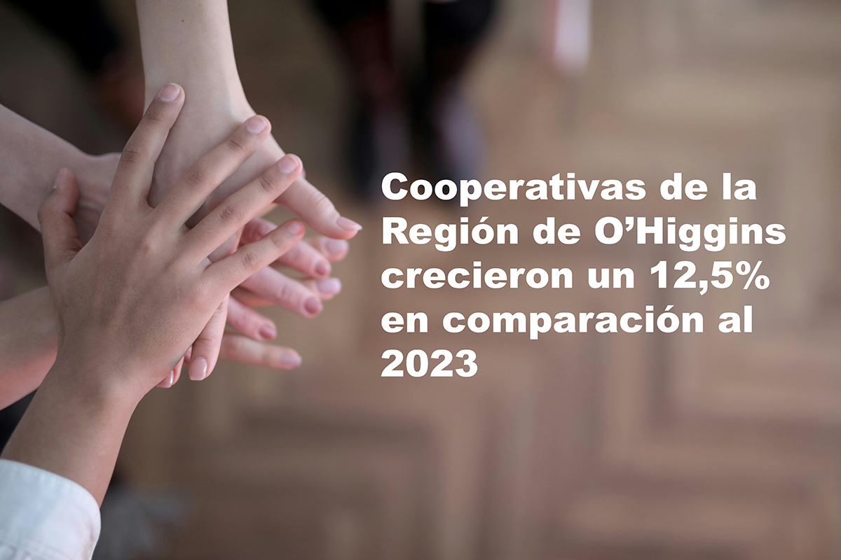 COOPERATIVAS DE LA REGIÓN DE OHIGGINS CRECIERON UN 125 EN COMPARACIÓN AL 2023