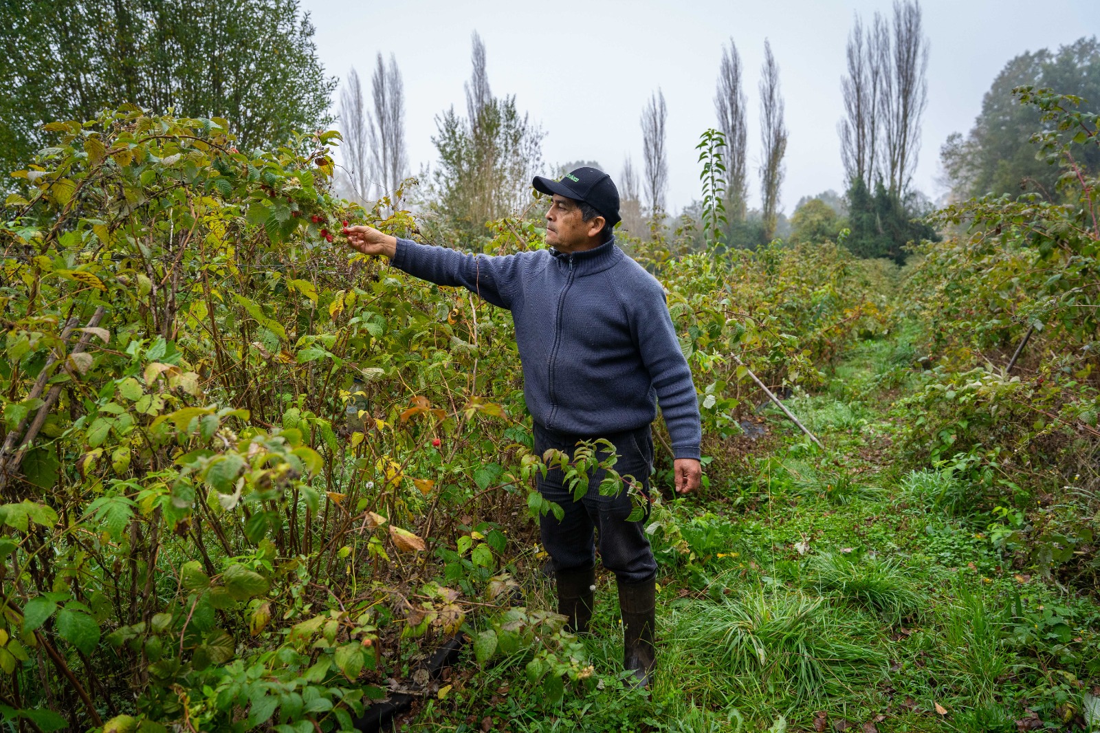 TIERRAS VIVAS BIENES NACIONALES E INDAP REDUCEN EN 50 EL ARRIENDO DE TERRENOS FISCALES A AGRICULTORES Arriendo Tierras Vivas 3