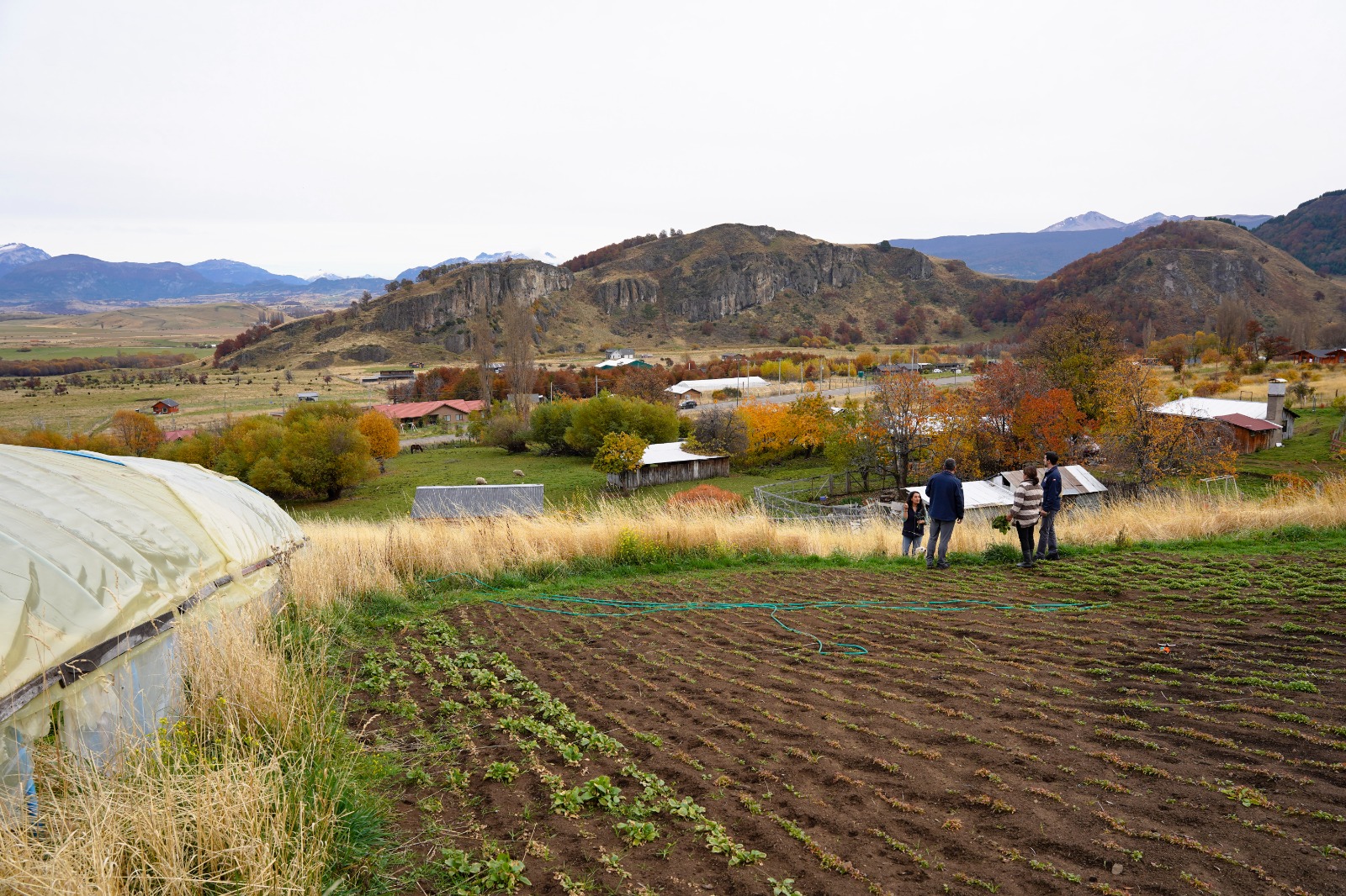 TIERRAS VIVAS BIENES NACIONALES E INDAP REDUCEN EN 50 EL ARRIENDO DE TERRENOS FISCALES A AGRICULTORES Arriendo Tierras Vivas 4