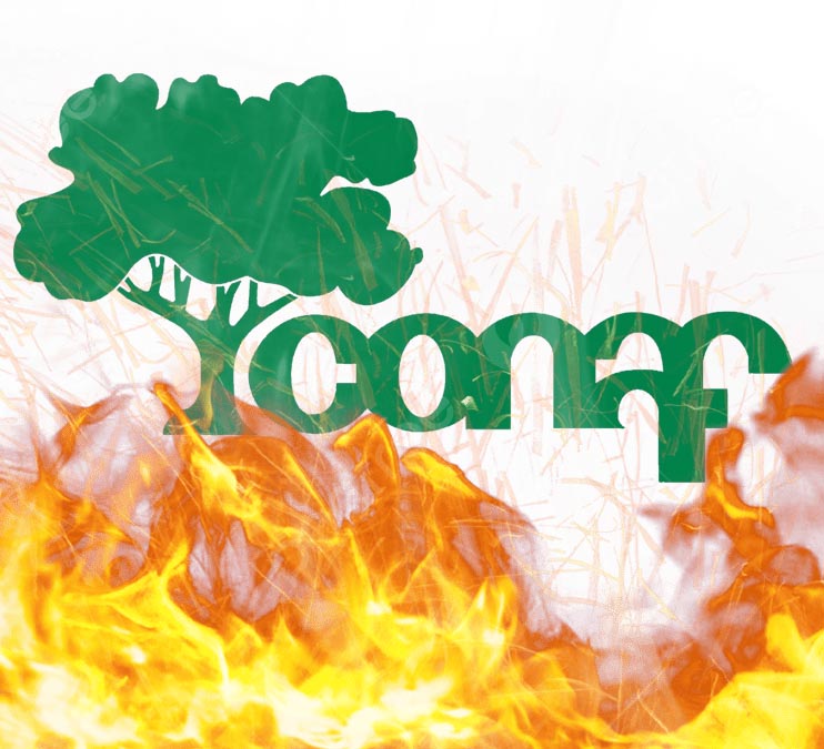 conal se incendia