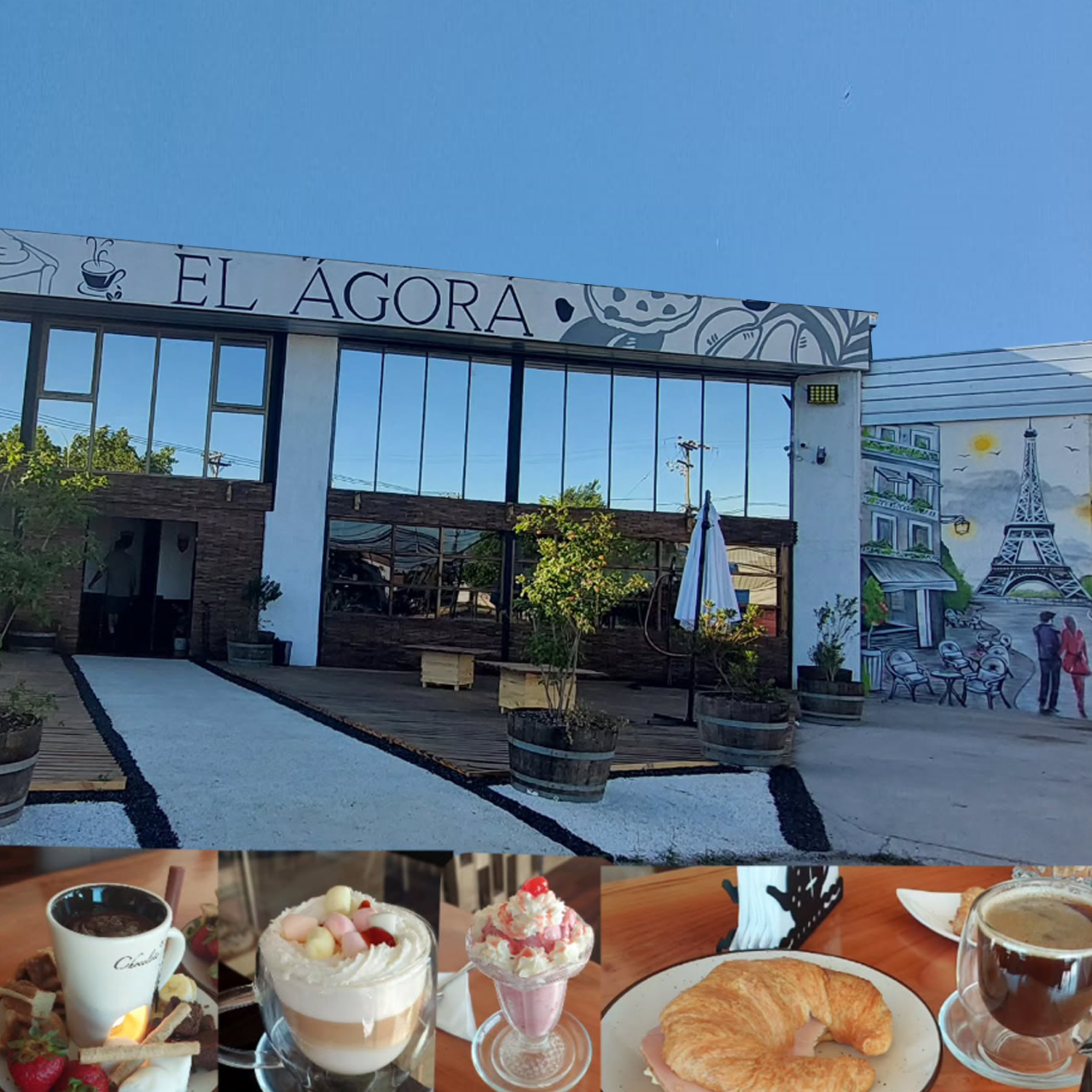 cafe de specialidad