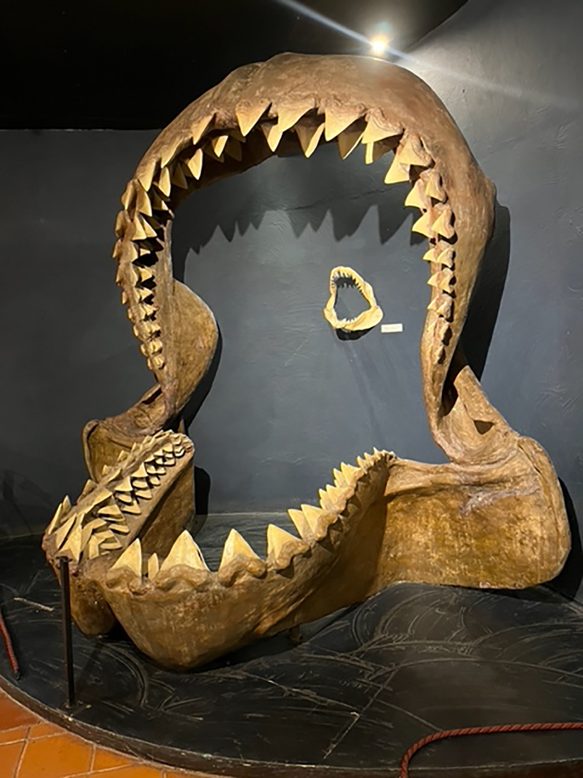 a30 AÑOS DEL MUSEO COLCHAGUA GUARDIANES DE LA HERENCIA DE UN CONTINENTE IMG 0796