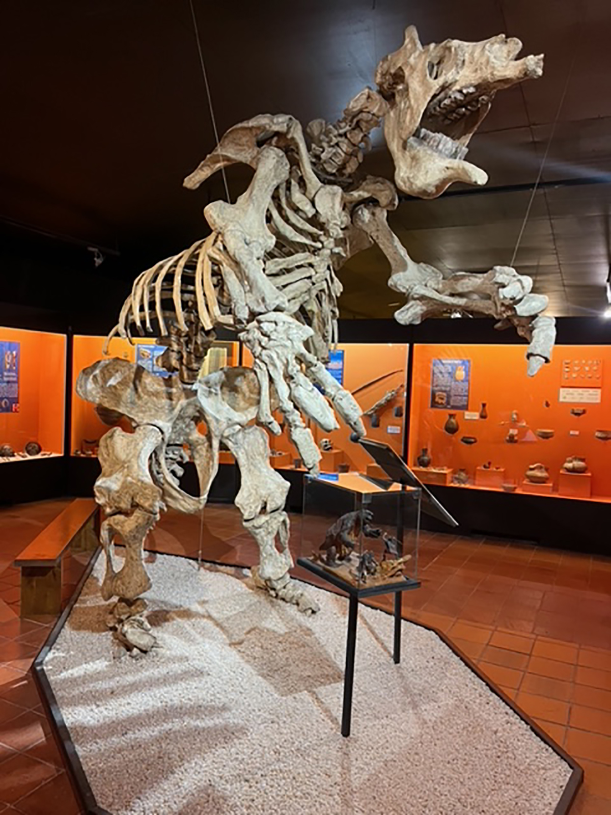 a30 AÑOS DEL MUSEO COLCHAGUA GUARDIANES DE LA HERENCIA DE UN CONTINENTE IMG 0799
