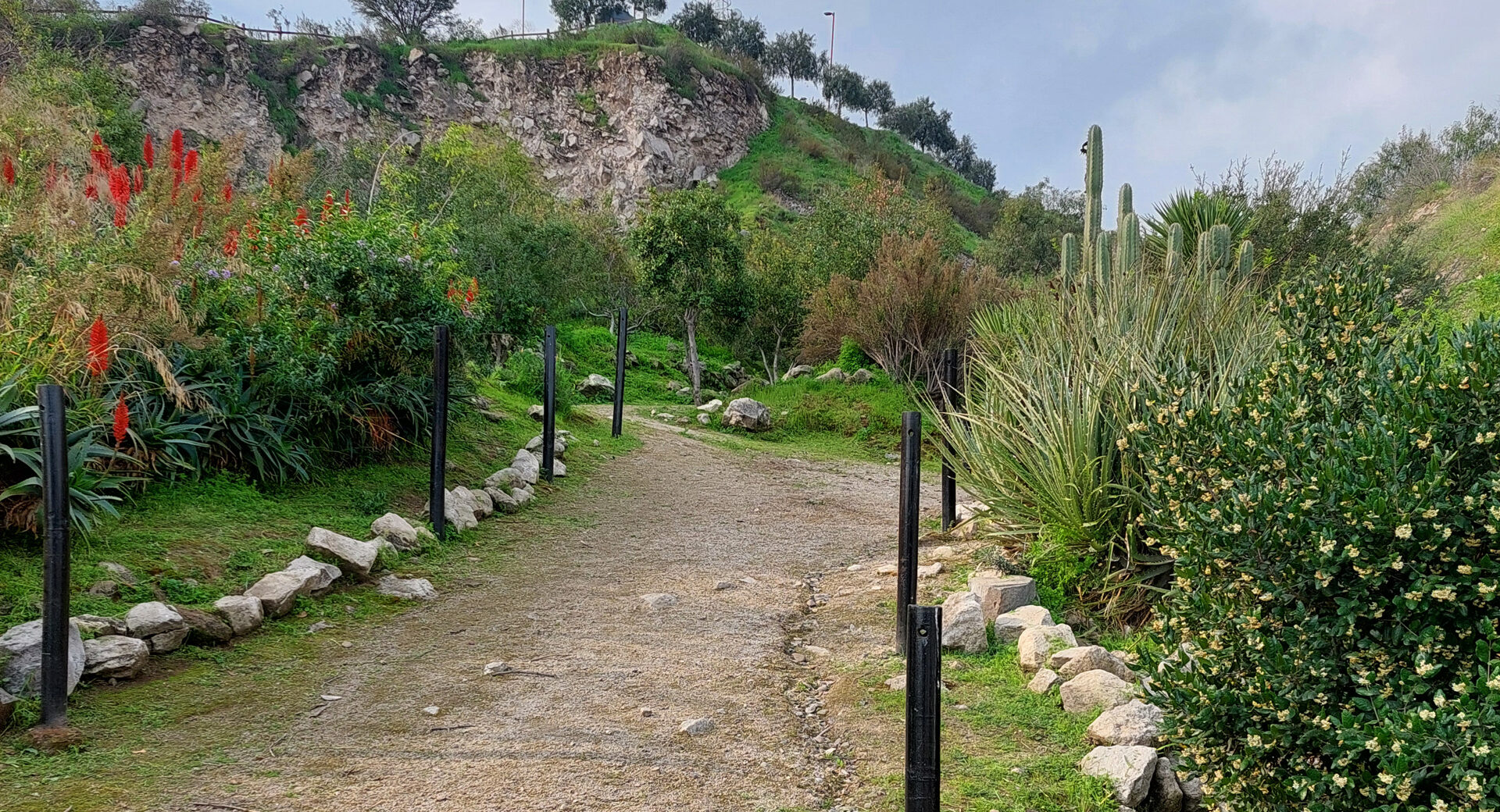 FUNDACIÓN FÉNIKA TE INVITA A VIVIR EL DÍA DE LOS CERROS 2025